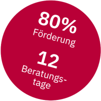 INQA Coaching 80% Förderung für 12 Beratungstage