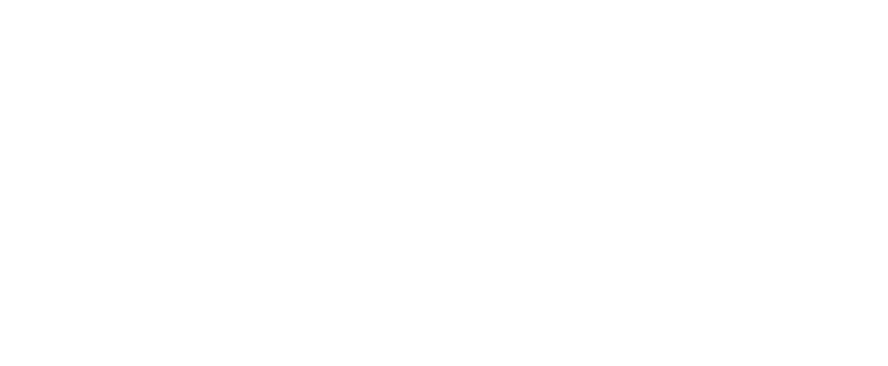 Logo Nordlicht Management Consultants